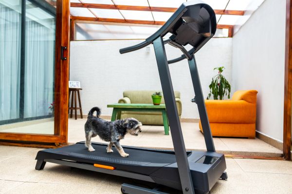 Cost of Treadmill Installation in Brunswick