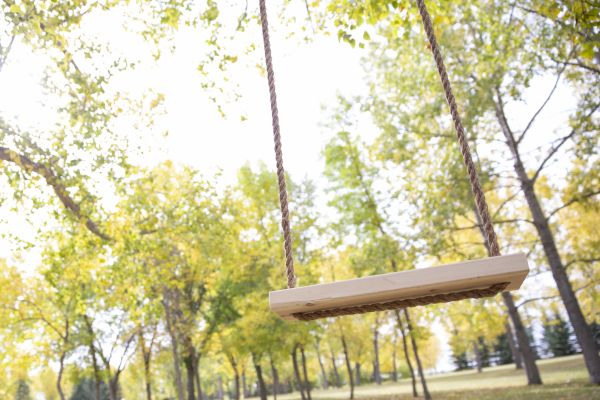 Cost of Tree Swing Installation in Brunswick