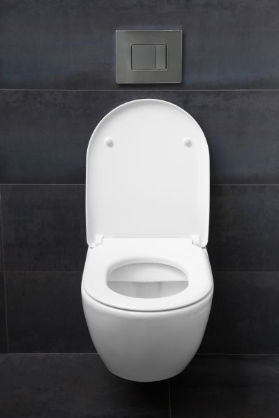 Cost of Toilet Lid Installation in Brunswick