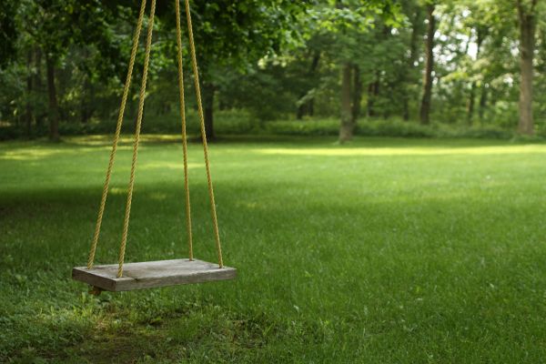 Cost of Rope Swing Installation in Brunswick