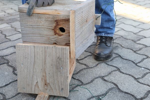 Cost of Birdhouse Mounting in Brunswick
